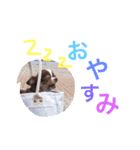 だいてんしここたん（個別スタンプ：2）