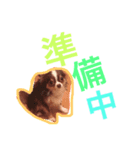 だいてんしここたん（個別スタンプ：6）