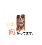 だいてんしここたん（個別スタンプ：7）