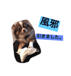だいてんしここたん（個別スタンプ：8）