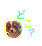 だいてんしここたん（個別スタンプ：9）