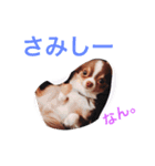 だいてんしここたん（個別スタンプ：10）