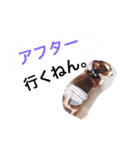 だいてんしここたん（個別スタンプ：15）