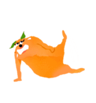 Mrs. Orange dog（個別スタンプ：33）