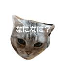 らん子0211（個別スタンプ：5）