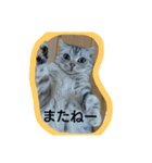 らん子0211（個別スタンプ：8）