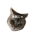 らん子0211（個別スタンプ：10）