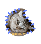 らん子0211（個別スタンプ：13）