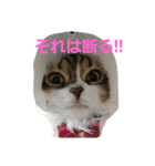 coco.cyan（個別スタンプ：6）