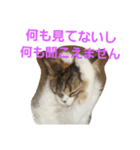 coco.cyan（個別スタンプ：9）