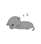 ネコのたまお（個別スタンプ：7）