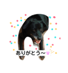 Siba-Lab Daichi 2（個別スタンプ：5）