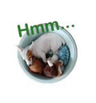 Gizmo the Ugly Jack set 1（個別スタンプ：2）