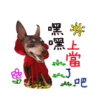 Little P Dog-2（個別スタンプ：6）