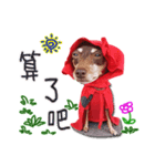 Little P Dog-2（個別スタンプ：24）