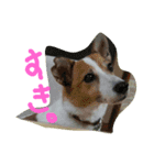 マイロとオーティス（個別スタンプ：1）