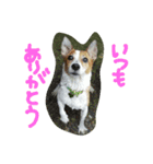マイロとオーティス（個別スタンプ：11）