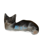 ゆめねこニャ〜ニャ（個別スタンプ：2）
