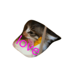 ゆめねこニャ〜ニャ（個別スタンプ：3）