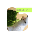 ゆめねこニャ〜ニャ（個別スタンプ：7）