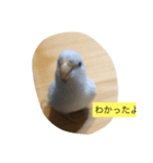 ゆめねこニャ〜ニャ（個別スタンプ：8）