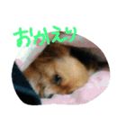 ここあああああ（個別スタンプ：1）