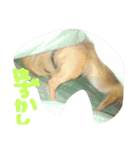 ここあああああ（個別スタンプ：2）