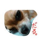 ここあああああ（個別スタンプ：5）