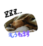 ここあああああ（個別スタンプ：7）