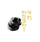 黒パグおこげのゆるスタンプ（個別スタンプ：1）