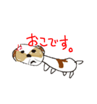 かわいいシーズースタンプ（個別スタンプ：11）
