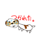 かわいいシーズースタンプ（個別スタンプ：17）