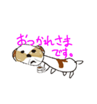 かわいいシーズースタンプ（個別スタンプ：18）