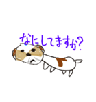 かわいいシーズースタンプ（個別スタンプ：20）