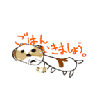 かわいいシーズースタンプ（個別スタンプ：21）