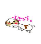 かわいいシーズースタンプ（個別スタンプ：26）
