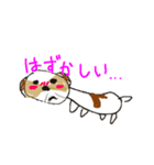 かわいいシーズースタンプ（個別スタンプ：27）
