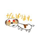 かわいいシーズースタンプ（個別スタンプ：31）