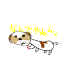 かわいいシーズースタンプ（個別スタンプ：32）