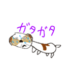 かわいいシーズースタンプ（個別スタンプ：33）