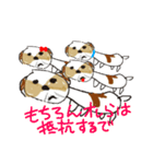 かわいいシーズースタンプ（個別スタンプ：39）