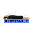 よさこい 音羽華炎1（個別スタンプ：4）