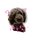 リーフのひとこと（個別スタンプ：4）