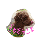 リーフのひとこと（個別スタンプ：5）