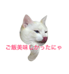 狩俣家のてんてん（個別スタンプ：3）