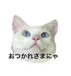 狩俣家のてんてん（個別スタンプ：6）