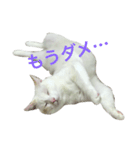 狩俣家のてんてん（個別スタンプ：7）