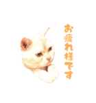 ねこのみぃみ（個別スタンプ：2）