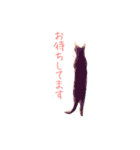 ねこのみぃみ（個別スタンプ：7）