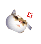 ねこのみぃみ（個別スタンプ：18）